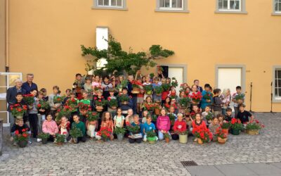 Die Stephansschule sucht die Super-Geranie